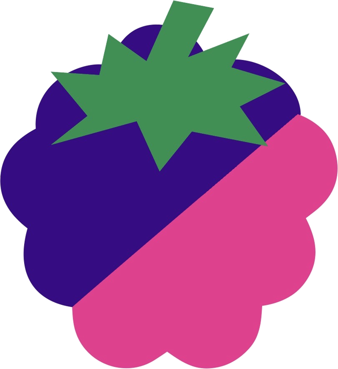 Le logo Raizberry : un fruit moitié mûre violette, moitié framboise rose, coiffé de feuilles vertes.